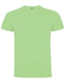 Kinder T-shirt Dogo Premium Roly CA6502 oase groen